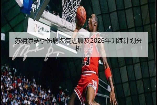 苏炳添赛季伤病恢复进展及2026年训练计划分析