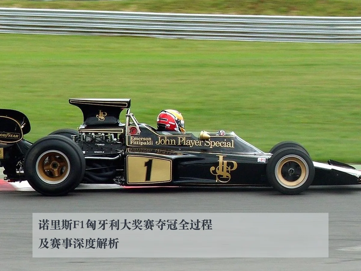 诺里斯F1匈牙利大奖赛夺冠全过程及赛事深度解析